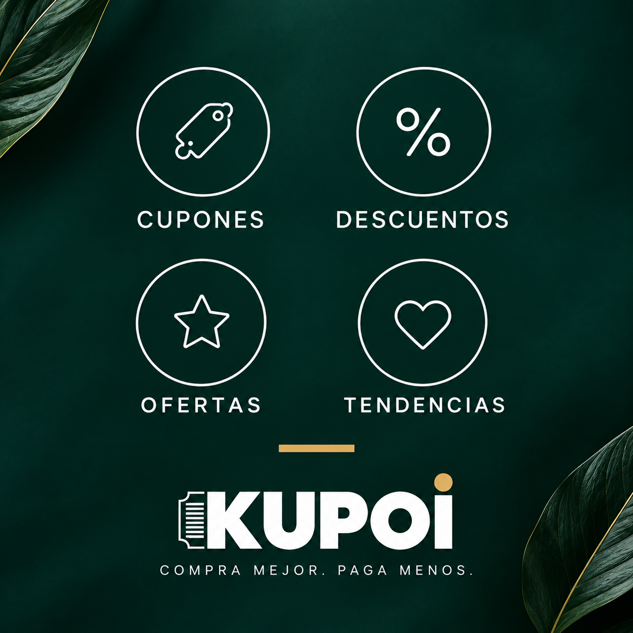 Imagen principal de Yujnn